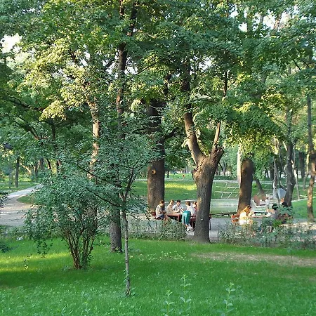 Kiseleff Studio
